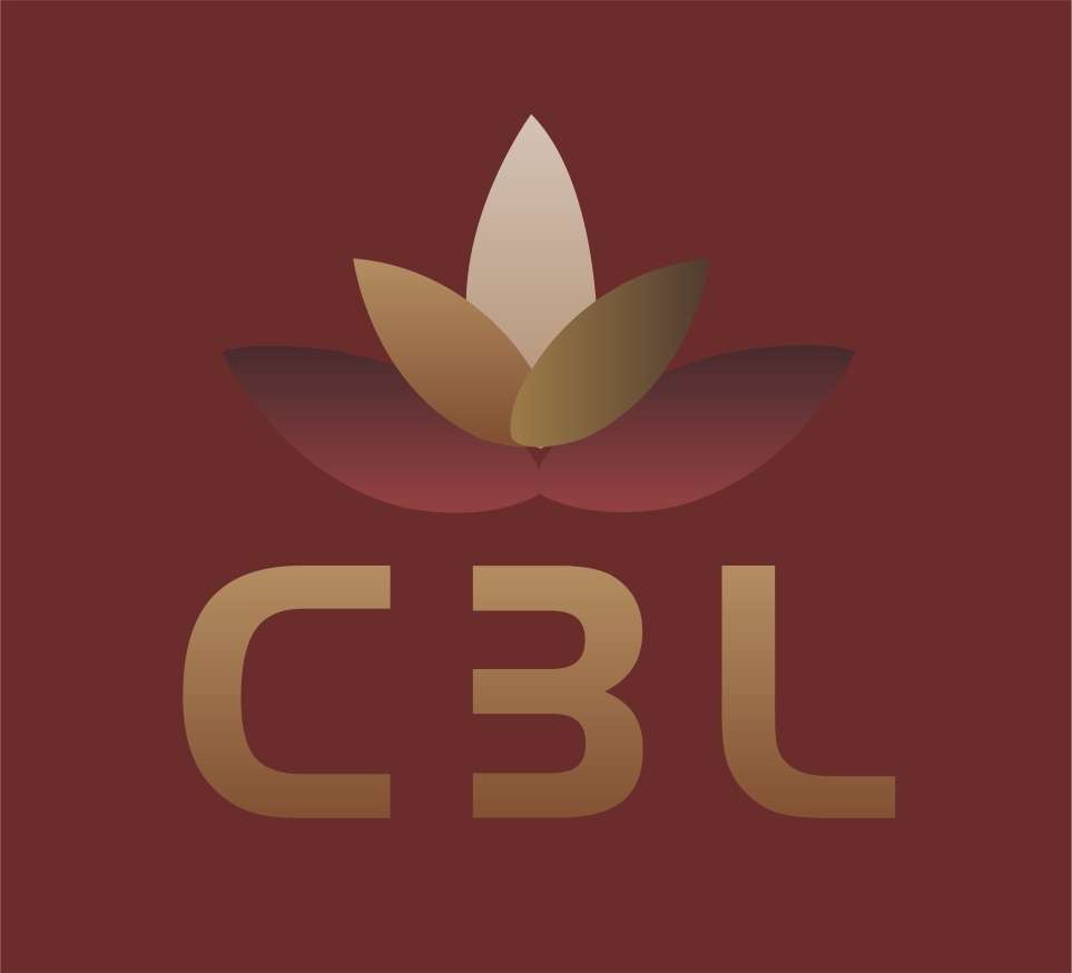 Chemiserie Bellvill Logo